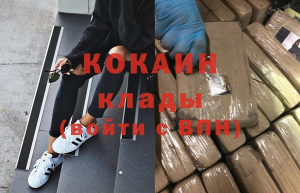 индика Армянск