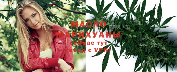 индика Армянск