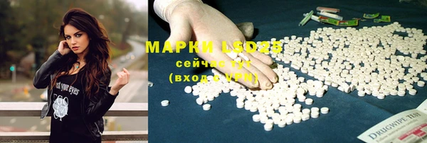 индика Армянск